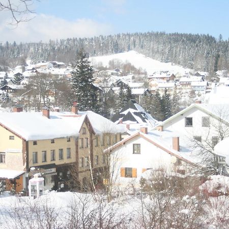 Gaestehaus Am Berg Hotel Bayerisch Eisenstein Bagian luar foto