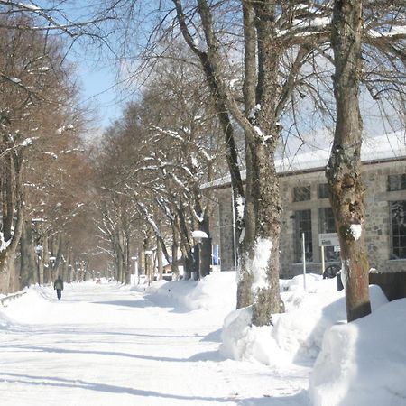 Gaestehaus Am Berg Hotel Bayerisch Eisenstein Bagian luar foto