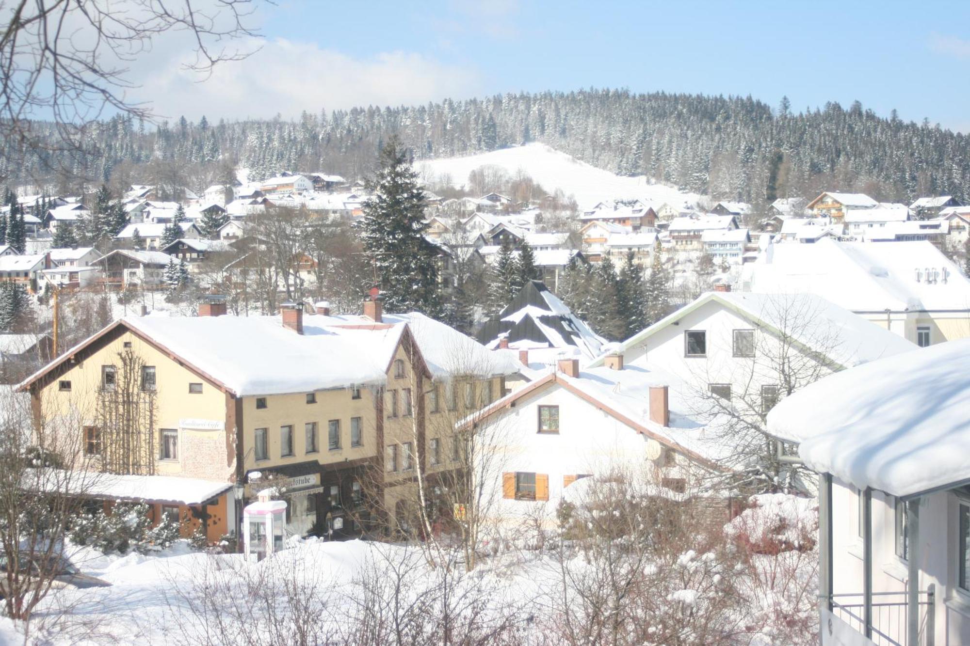 Gaestehaus Am Berg Hotel Bayerisch Eisenstein Bagian luar foto