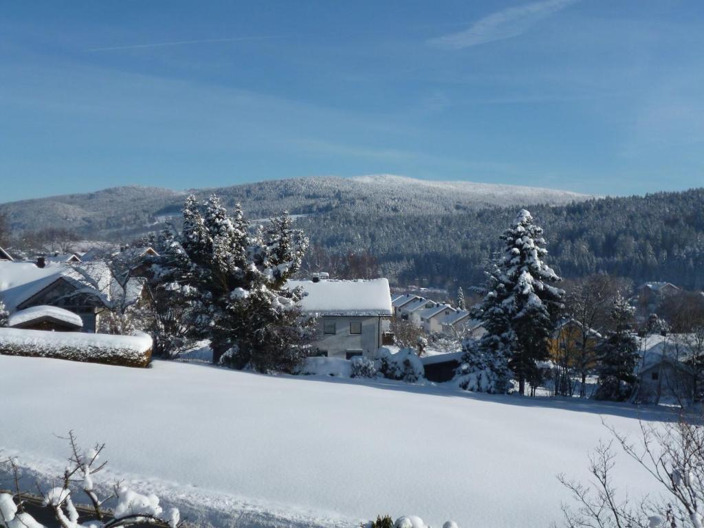 Gaestehaus Am Berg Hotel Bayerisch Eisenstein Bagian luar foto