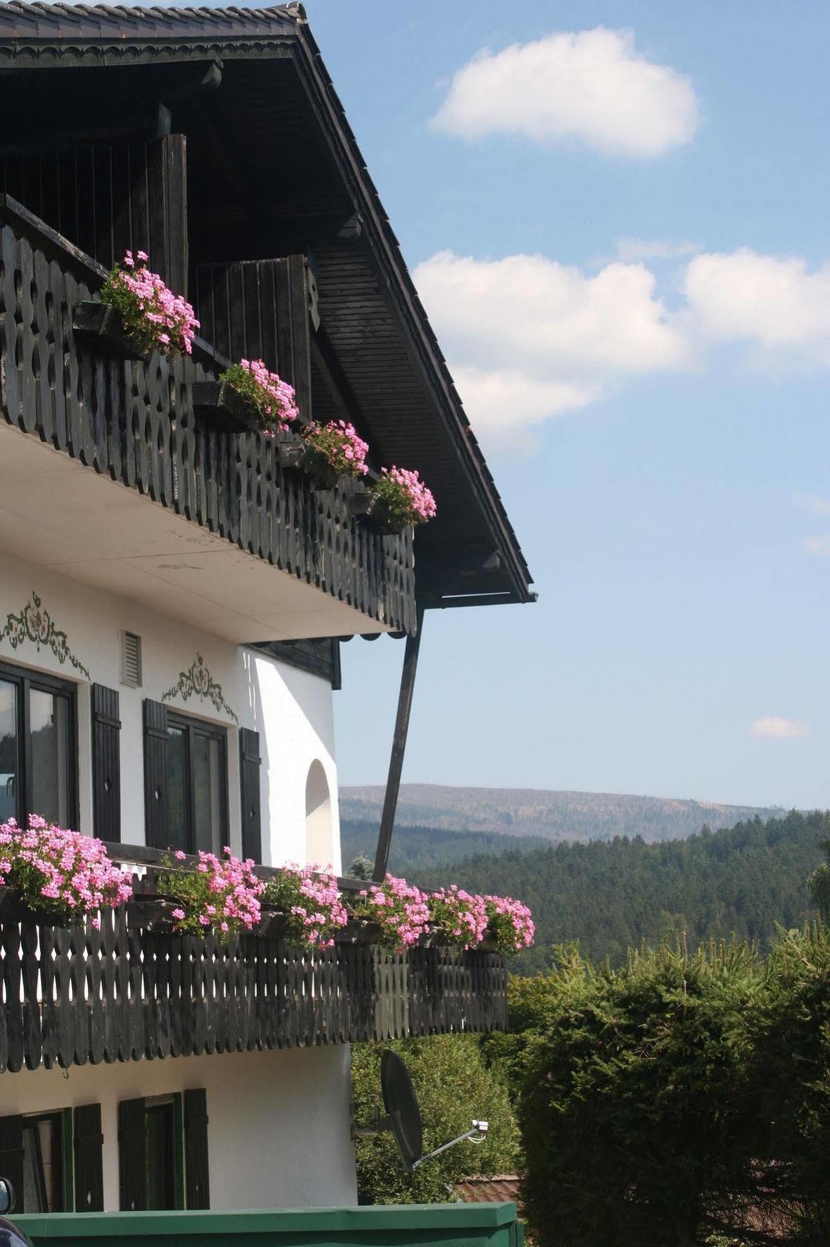 Gaestehaus Am Berg Hotel Bayerisch Eisenstein Bagian luar foto